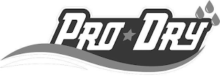 PRO DRY logo