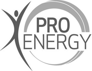 PRO ENERGY logo
