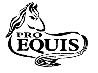 PRO EQUIS logo