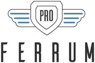 PRO FERRUM logo