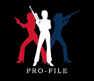 PRO-FILE logo