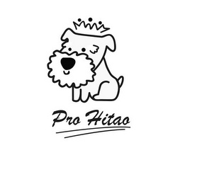 PRO HITAO logo