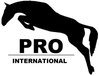 PRO INTERNATIONAL logo