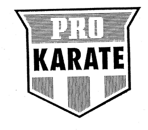 PRO KARATE logo
