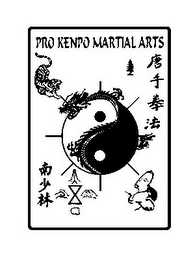 PRO KENPO MARTIAL ARTS logo