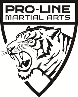 PRO-LINE MARTIAL ARTS logo