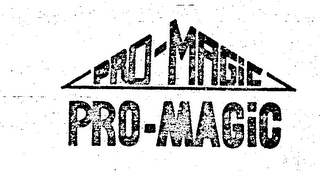 PRO-MAGIC logo