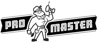 PRO MASTER logo