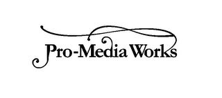 PRO-MEDIA WORKS logo
