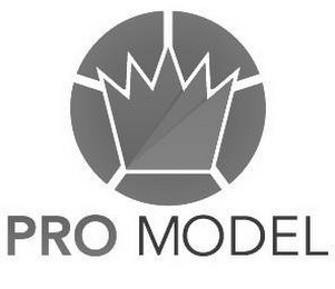 PRO MODEL logo