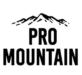 PRO MOUNTAIN logo