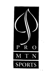 PRO MTN SPORTS logo