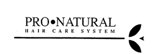 PRO-NATURAL HAIR CARE SYSTEM logo
