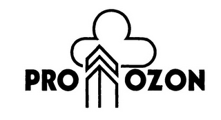 PRO OZON logo