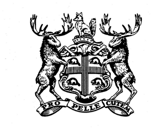 PRO PELLE CUTEM logo