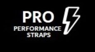 PRO PERFORMANCE STRAPS logo