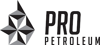 PRO PETROLEUM logo