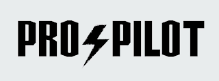 PRO PILOT logo