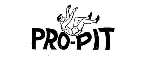 PRO-PIT logo