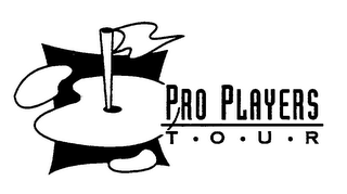 PRO PLAYERS T O U R logo