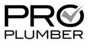 PRO PLUMBER logo