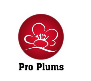 PRO PLUMS logo