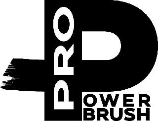 PRO POWER BRUSH logo