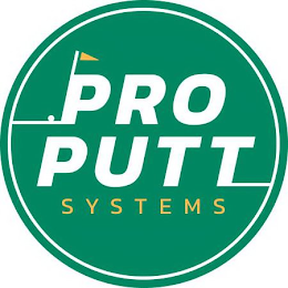 PRO PUTT SYSTEMS logo