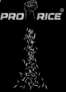 PRO RICE logo