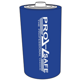 PRO SAFE THE PROFESSIONAL CHOICE logo