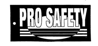 PRO SAFETY logo
