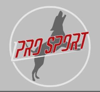 PRO SPORT logo