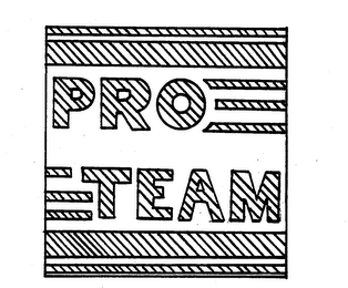 PRO TEAM logo