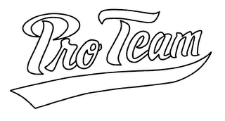PRO TEAM logo