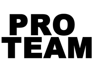 PRO TEAM logo