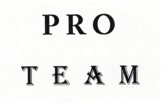 PRO TEAM logo