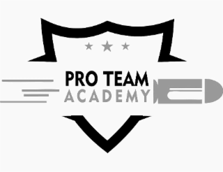 PRO TEAM ACADEMY logo
