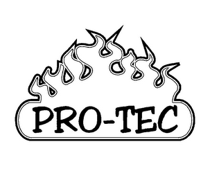PRO-TEC logo
