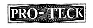 PRO-TECK logo