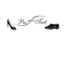 PRO TECT logo
