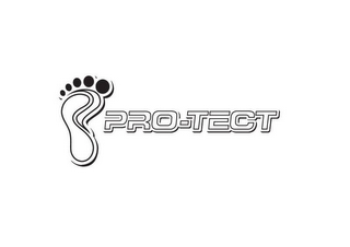 PRO-TECT logo