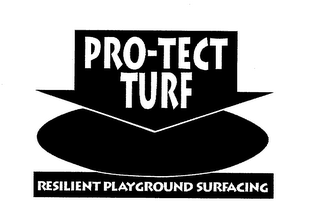 PRO-TECT TURF RESILIENT PLAYGROUND SURFACING logo