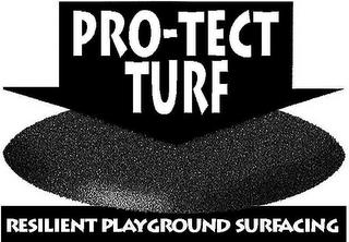 PRO-TECT TURF RESILIENT PLAYGROUND SURFACING logo