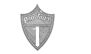 PRO TOUR logo