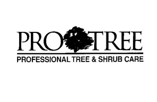 PRO TREE PROFESSIONAL TREE & SHRUB CARE logo