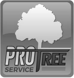 PRO TREE SERVICE logo