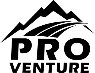 PRO VENTURE logo