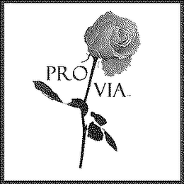 PRO VIA logo