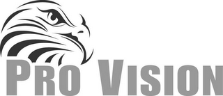 PRO VISION logo