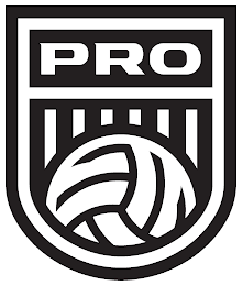 PRO VOLLEYBALL FEDERATION logo